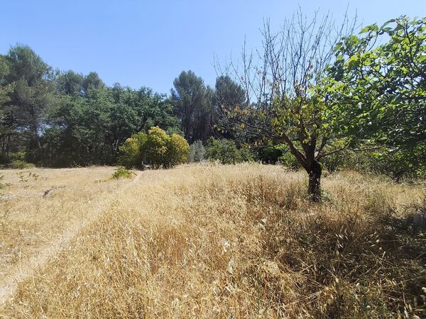 Terrain aménagé Éguilles (13510)