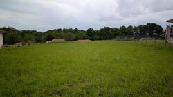 Maison 89 m² à construire Coulon (79510)