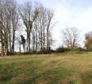 Maison 75 m² à construire Rambervillers (88700)