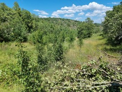 Terrain aménagé Lalbenque (46230)