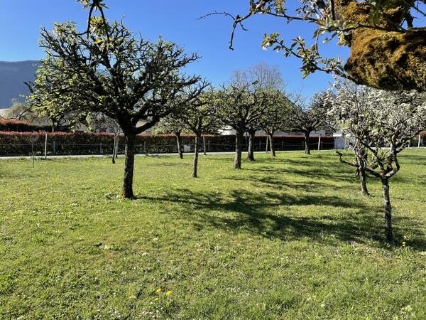 Maison 133&nbsp;m² à construire Saint-Jorioz (74410)