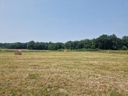Terrain aménagé Chérac (17610)