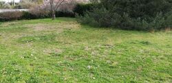 Terrain aménagé Beautiran (33640)