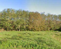 Terrain aménagé Préchac (33730)