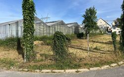 Terrain aménagé Ollainville (91340)