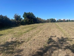 Terrain aménagé Berson (33390)