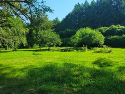 Terrain aménagé Javrezac (16100)