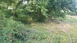 Terrain aménagé Saint-Quentin-de-Baron (33750)