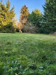 Terrain aménagé Bois-le-Roi (77590)
