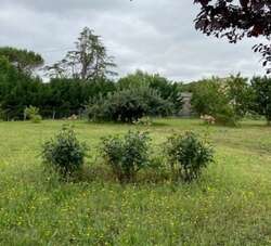 Terrain aménagé Gaillac (81600)