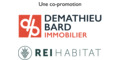 DEMATHIEU-BARD IMMOBILIER