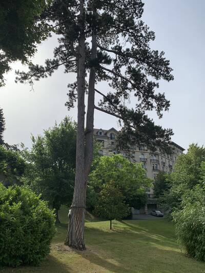 Vente appartement 2 pièces Aix-les-Bains (73100)