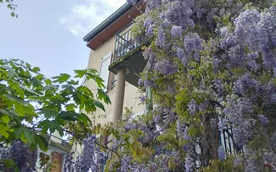 Strasbourg