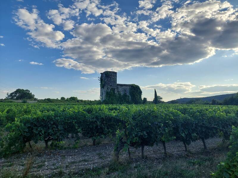 Durfort-Et-Saint-Martin-De-Sossenac (30170)