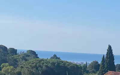 Mougins