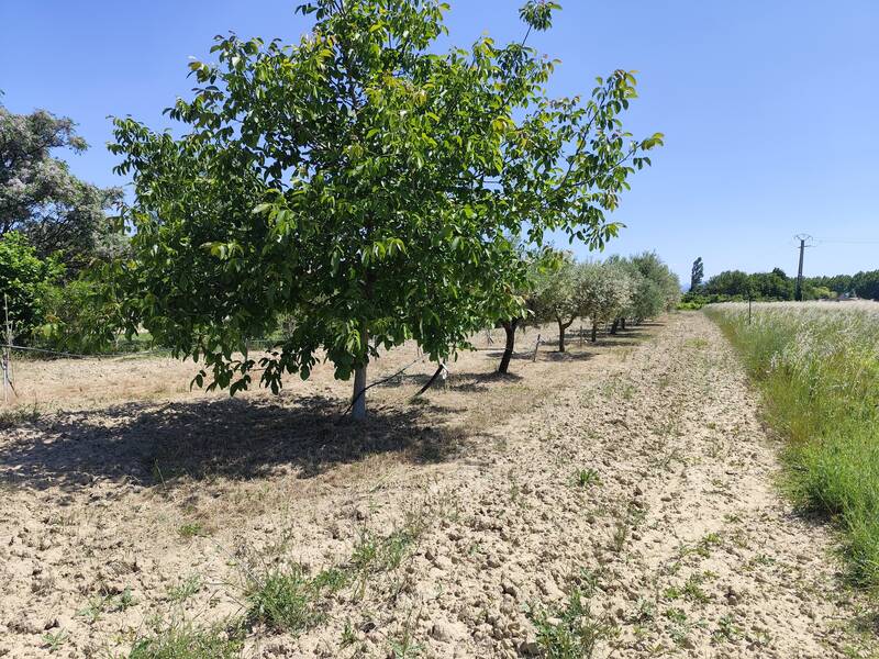 Travaillan (84850)