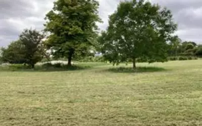 Marigny-Marmande (37120)