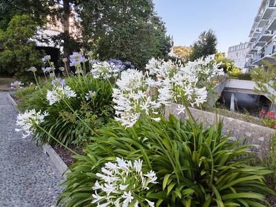 Vente appartement 4 pièces Quimper (29000)