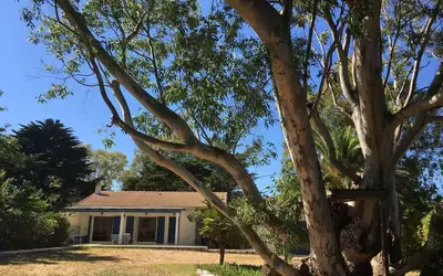 Hyeres (83400)