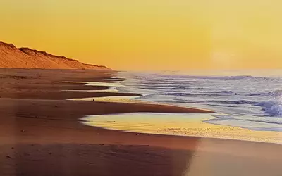 Excellent État Beau Jardin- A 15 Min Des Plages Océanes-