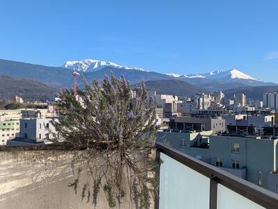 Vente appartement 3 pièces Grenoble (38)