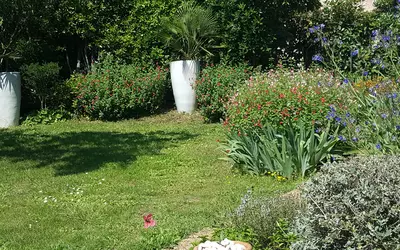 Agde (34300)