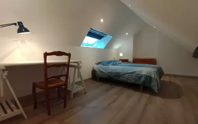 Lille (59000)