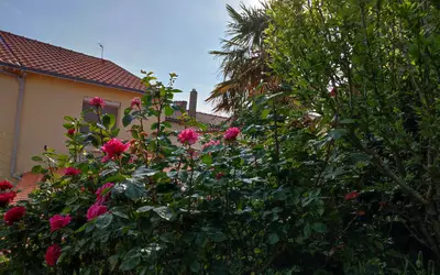 Bouaye (44830)
