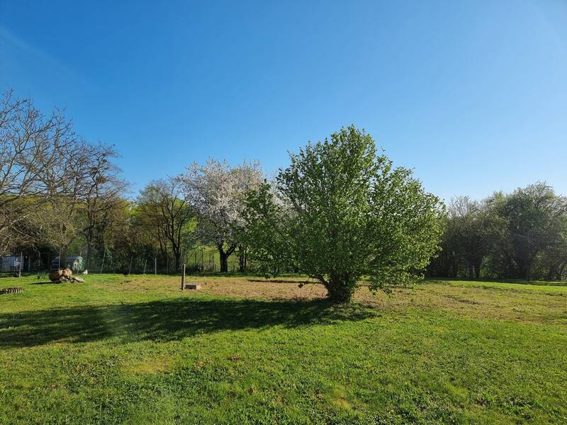 Château-Du-Loir (72500)
