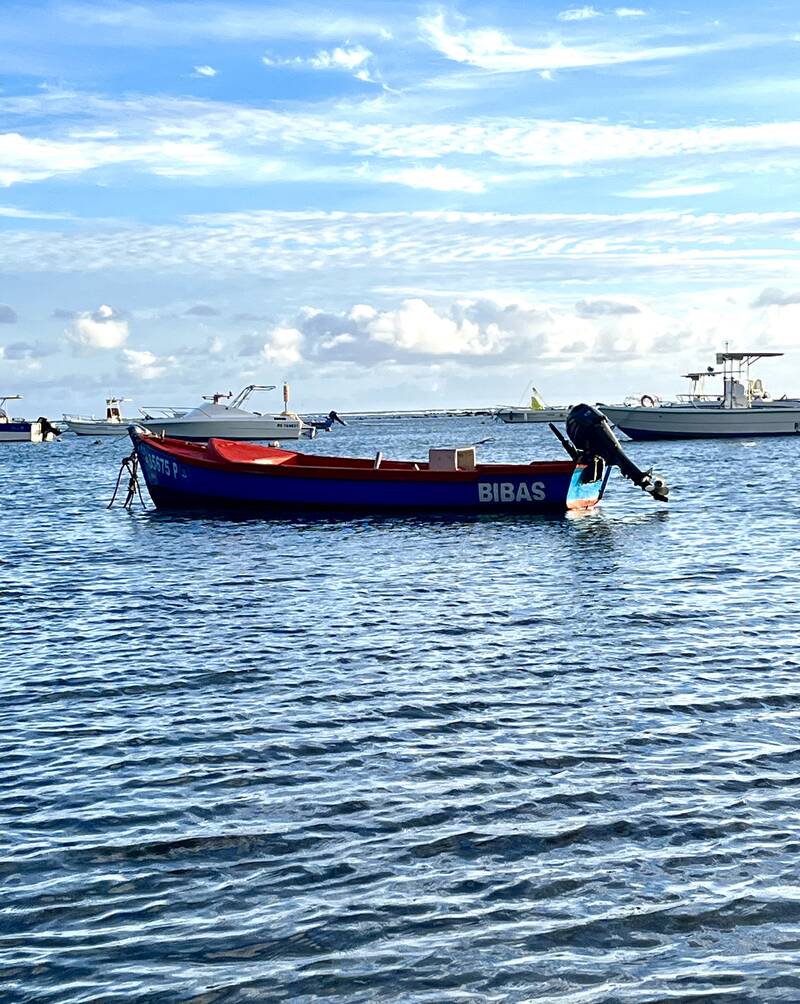 , À 400 M De La Mer, L'étang-Salé (97427)