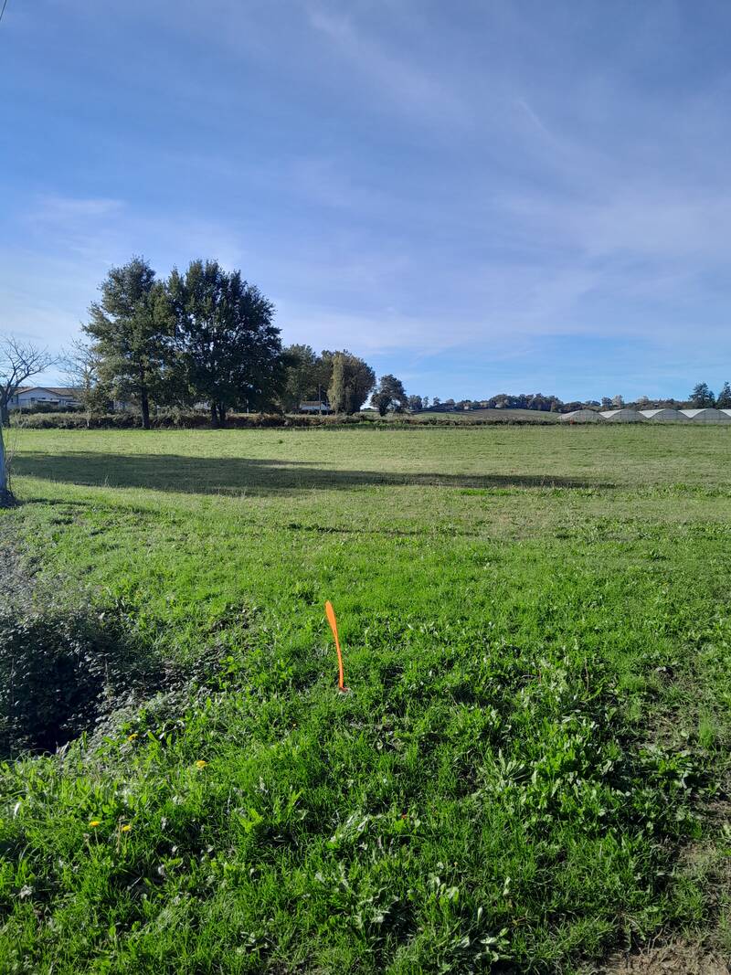 Saint-Martin-D'armagnac (32110)