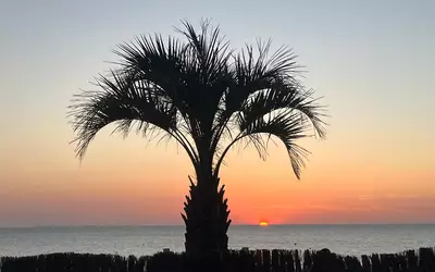 Donville-Les-Bains