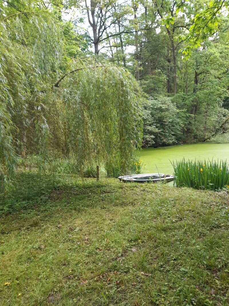 La Ferté-Sous-Jouarre (77260)