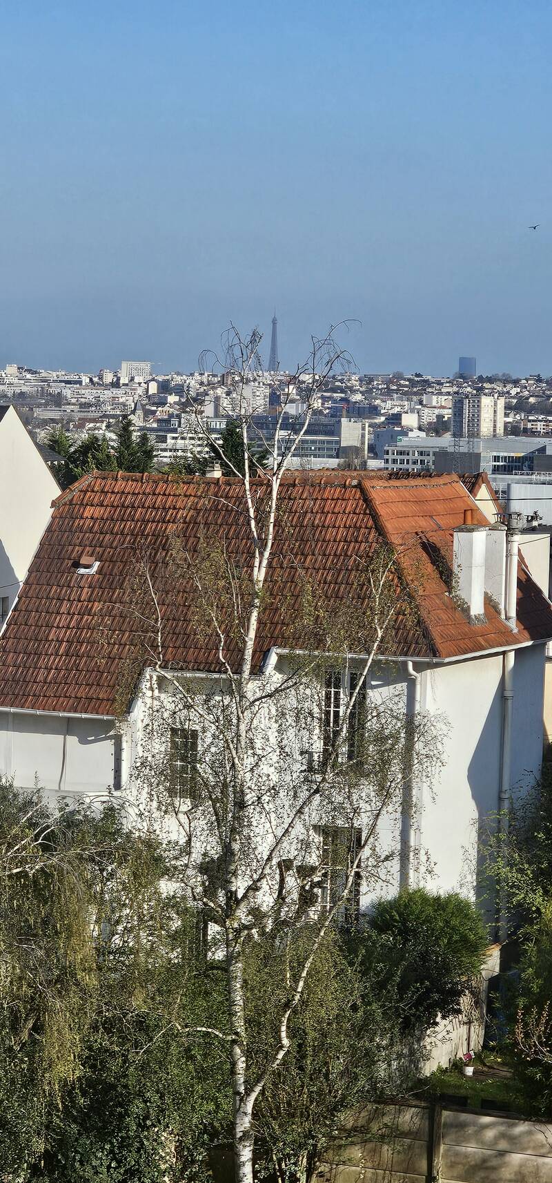 Chatou (78400)
