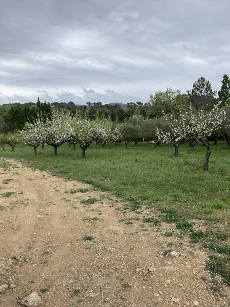 Besse-Sur-Issole (83890)