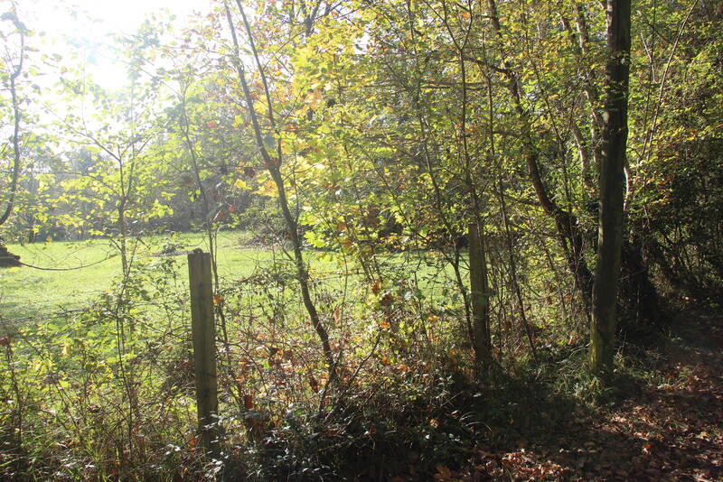 Saint-Astier (24110)