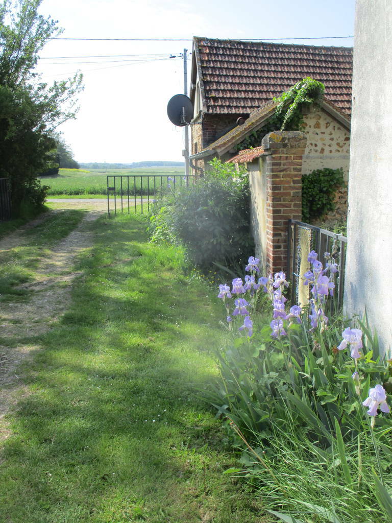 Saint-Ange-Et-Torçay (28170)