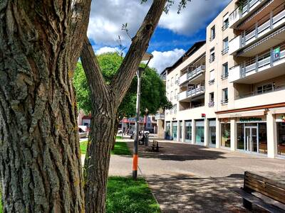 Vente appartement 4 pièces Craponne (69290)