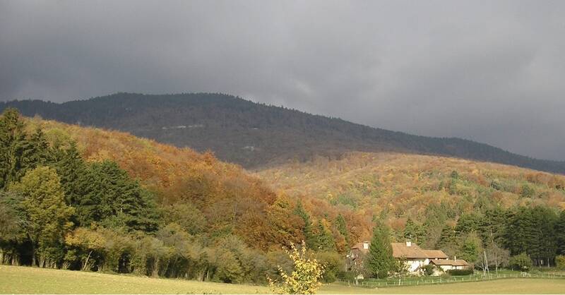 Divonne-Les-Bains (01220)