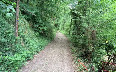 Mirandol-Bourgnounac (81190)