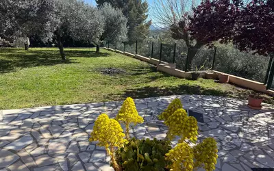 Draguignan (83300)