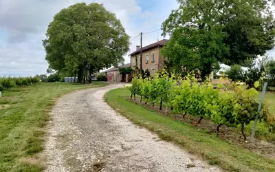 Monbazillac (24240)