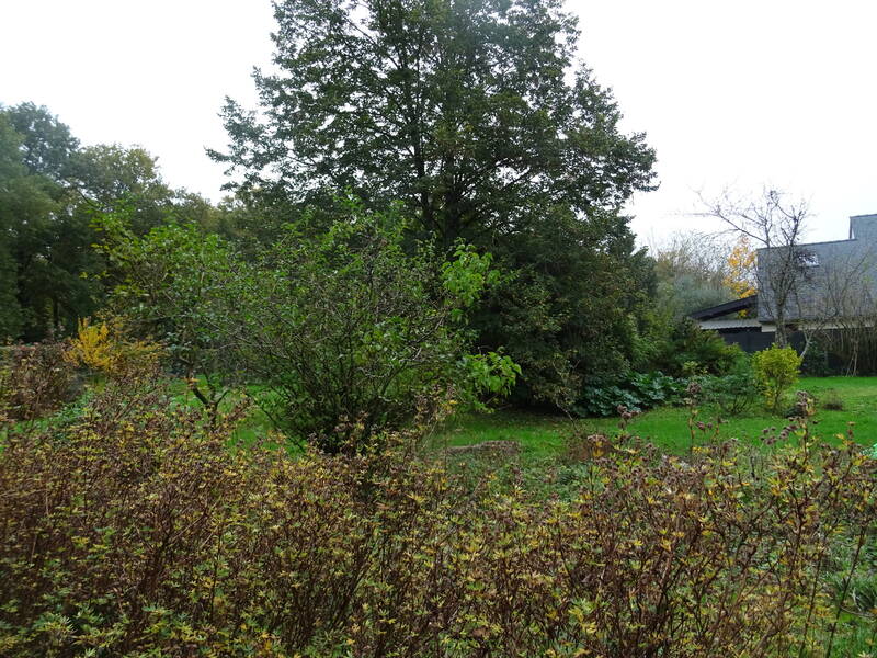 Joué-Lès-Tours (37300)