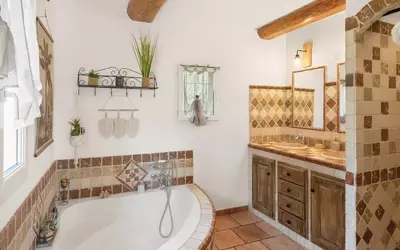 Vaison-La-Romaine (84110)