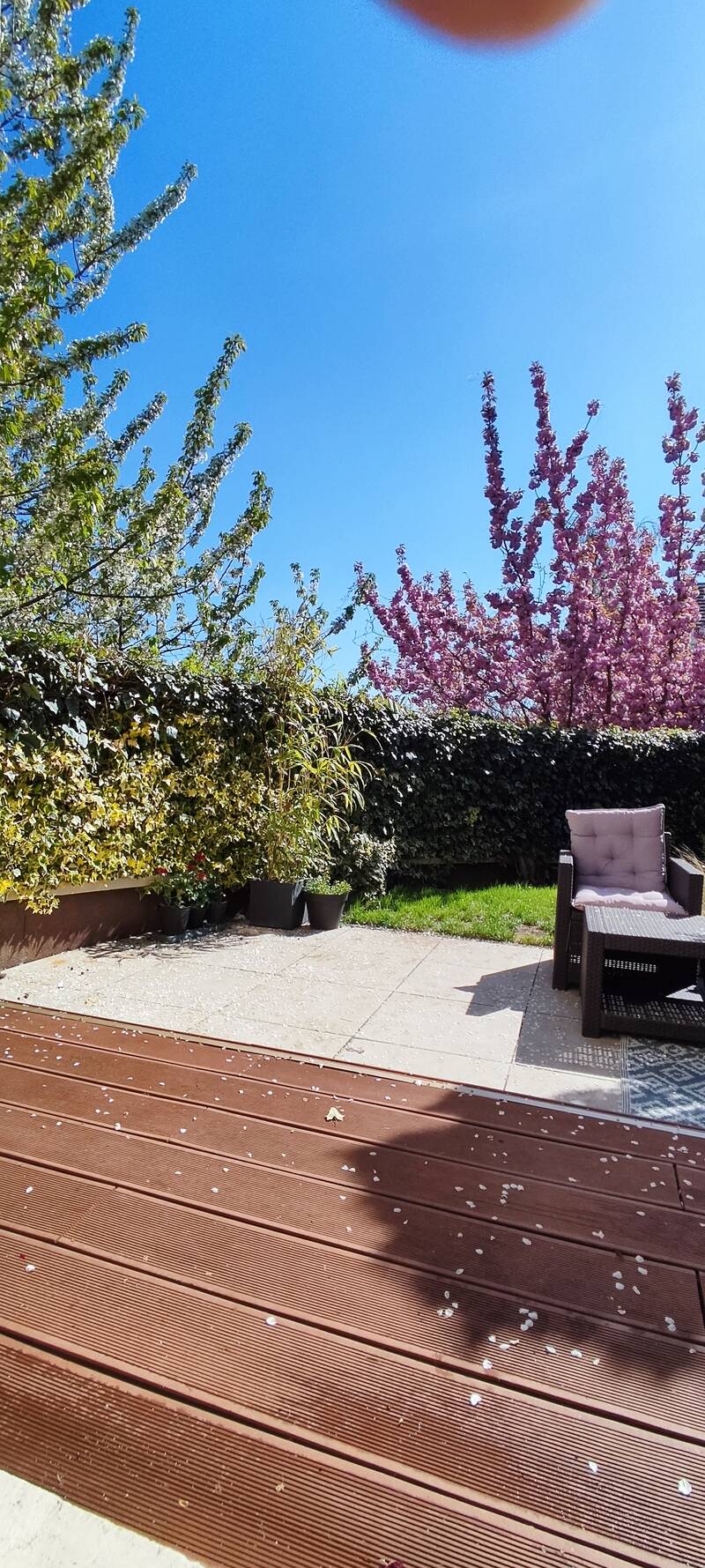 Magny-Le-Hongre (77700)