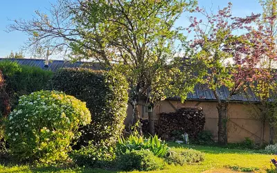 Neuillé (49680)
