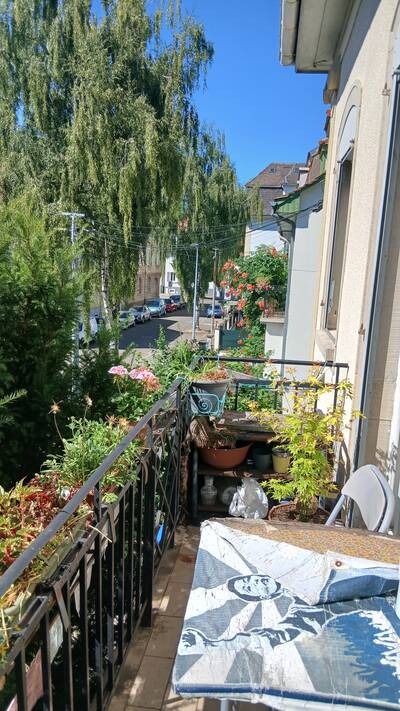 Vente appartement 3 pièces Strasbourg (67)