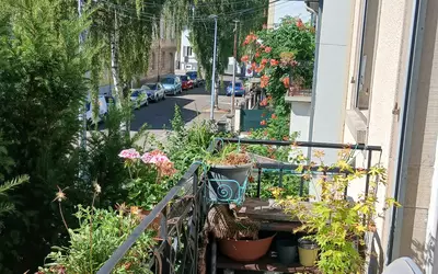Strasbourg (67000)