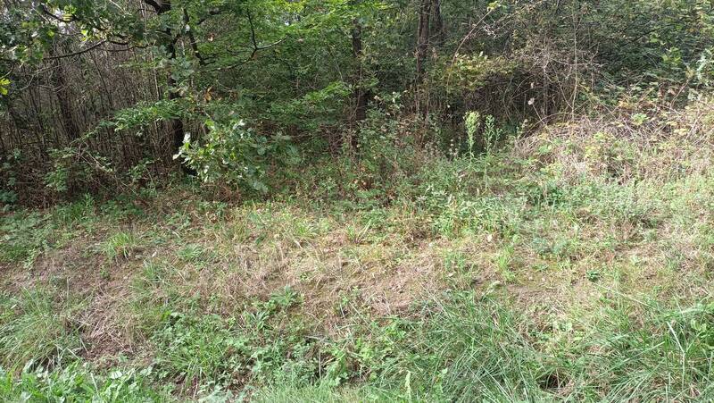 Montbartier (82700)