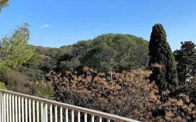 Montpellier (34000)